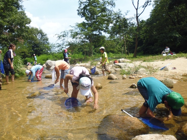 川の生き物観察