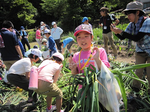 田植え